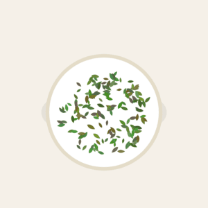 Sencha China